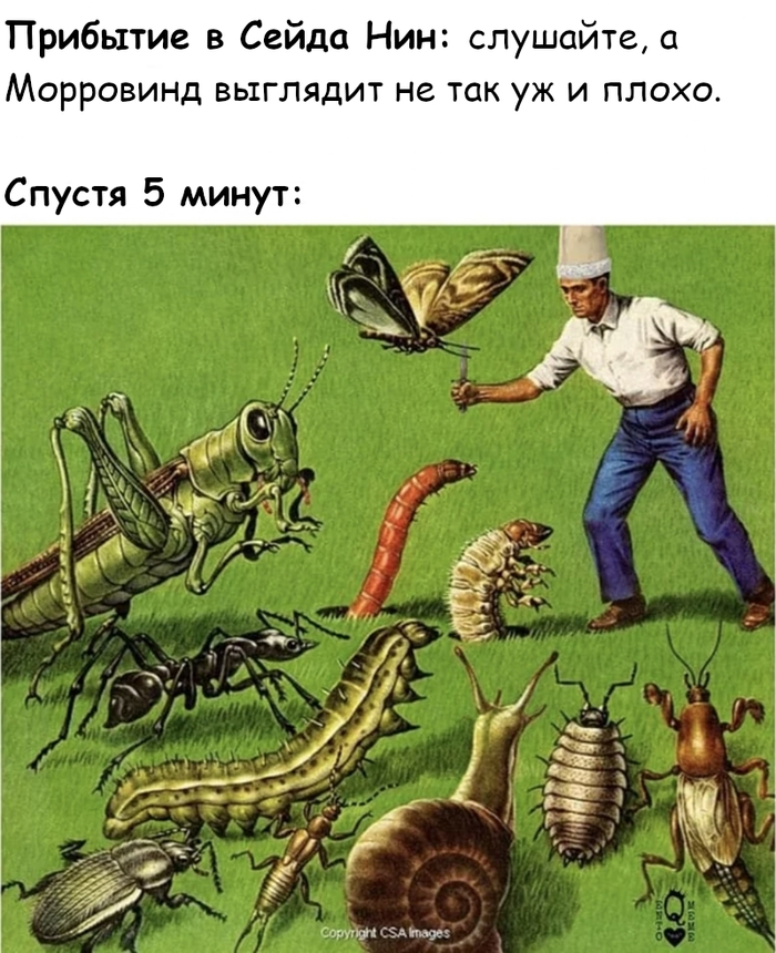 Морровинд сам по себе очень странный