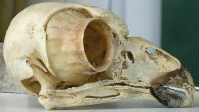 &nbsp;������ ����������, ������ ����� ����, ��� �����