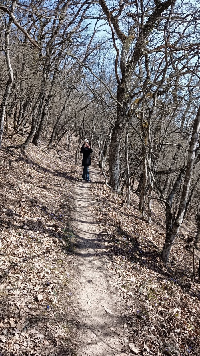 Это прямой и лёгкий участок, таких немного. Обычно тропа идёт или вверх или вниз, иногда круто.
