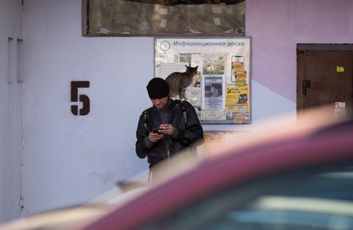 ���-�� � ���������