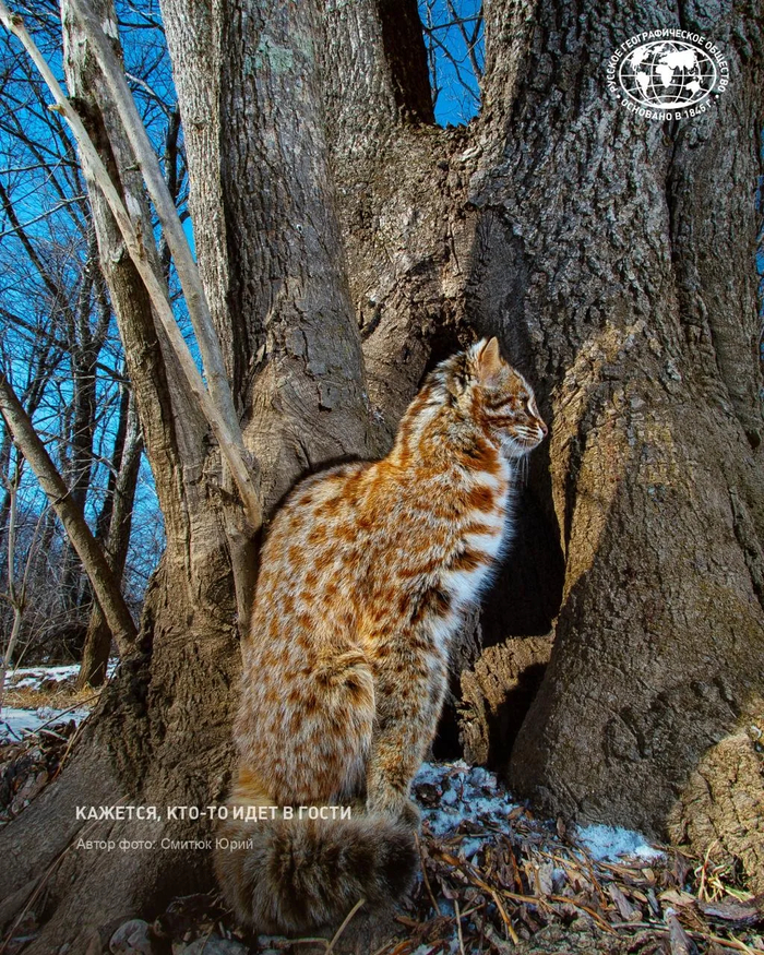 ����: ������ ����, �������� ������������ ������ �������� ������, <a href="https://pikabu.ru/story/kazhetsya_syuda_ktoto_idyot_13786620?u=https%3A%2F%2Fmax.ru%2Frgo1845%2FAZzTVv-9Bkc&t=%D0%BE%D1%82%D1%81%D1%8E%D0%B4%D0%B0&h=f99abe3ee175b44fab6acaf5489a95c63b24e0c5" title="https://max.ru/rgo1845/AZzTVv-9Bkc" target="_blank" rel="nofollow noopener">������</a>