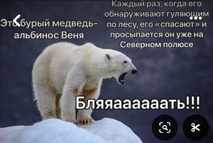 ����� ��� �� ������ ��� �������, ����� ��������-��������! ���� ������ � �����!! ������ ...