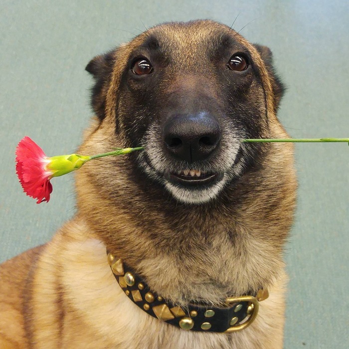 А что 8 марта уже прошло что-ли? С прошедшим всех, дамы...с опозданием чуть-чуть
