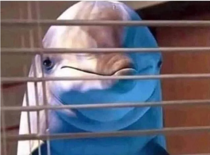 Когда у человечества дела не очень и вы следующие на очереди в мировое господство