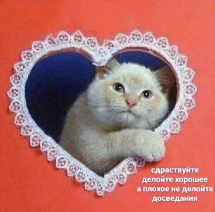 Советы по русскому языку с эрративом это, наверное, постмодерн уже