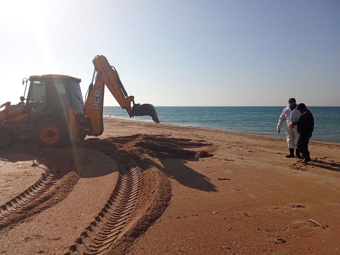 почти добровольно чисто-конкретно-мэны убирают сетку. эта часть косы является диким пляжем и проехать туда без внедорожника не получиться. к сожалению замусорена выброшенными морем деревяшками и бытовым мусором благодарных культурных туристов(((