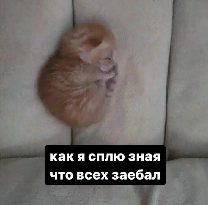 ��� ��������