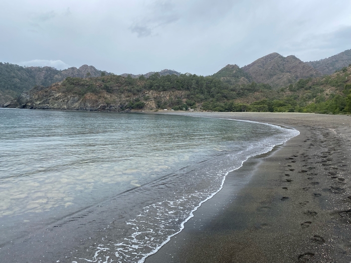 ����� ������ �����