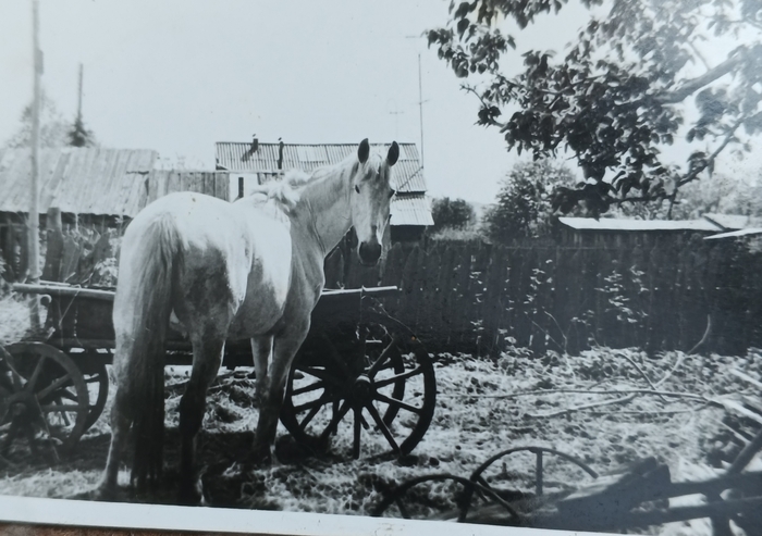 ����� ��� � �� �������� ����� ��� ����� �������....