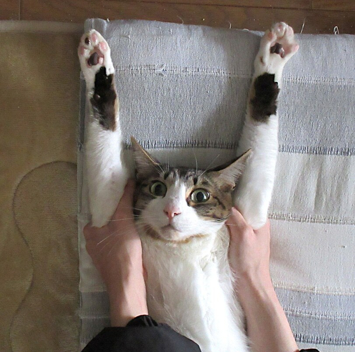 ���� �����!