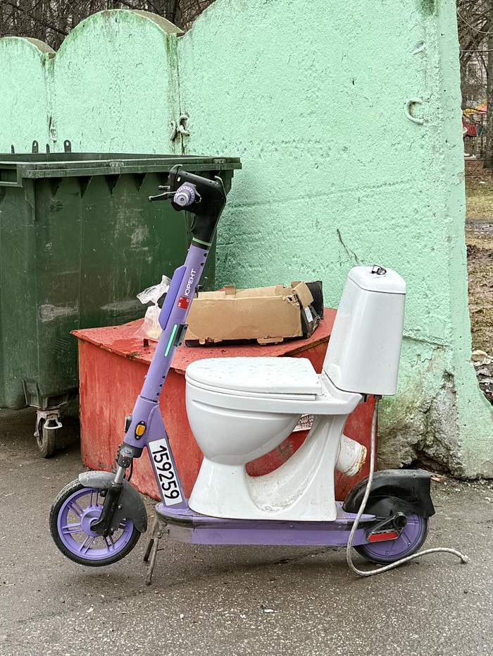 Сфотографировал на мусорке около дома