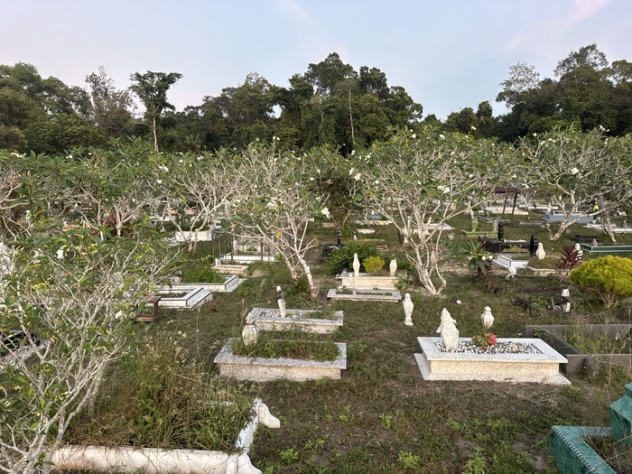 ������� ��������