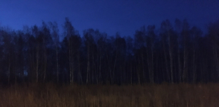 "���������� �� �������" �������� ������� �� ���������������