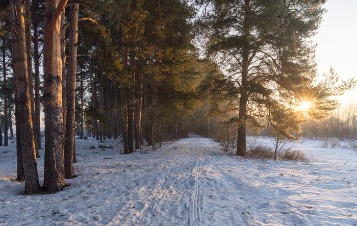Лучи солнца в заречном парке