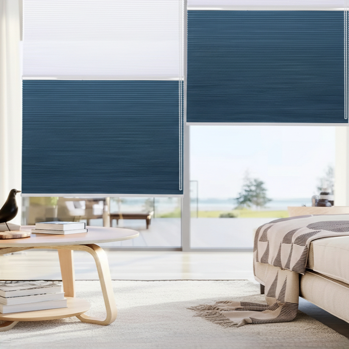 ������ ����/����