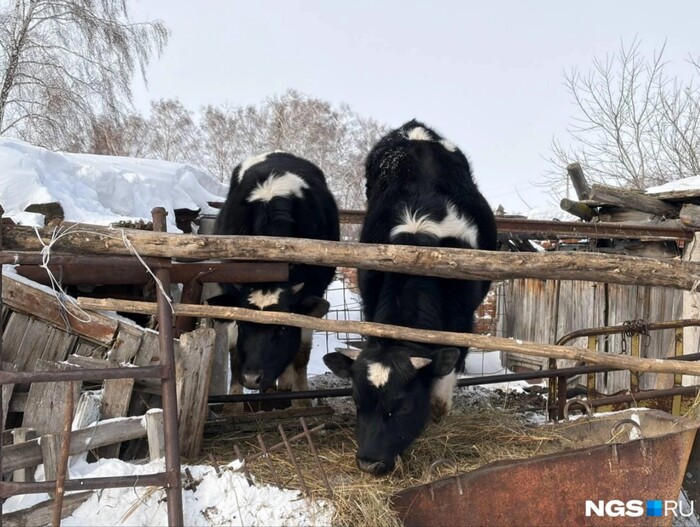 �������� ����������� ����� � ������. ��� ����������?