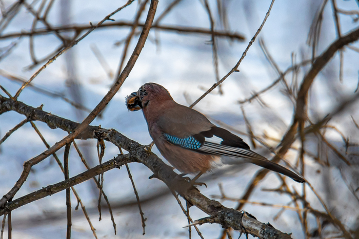 ������. �����. 2026