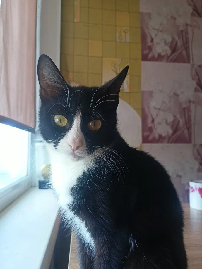 ��� �����-�� ������������� ����� ��� ��, ��������� ������� ���� �� ������� ���������� ������. ������ ��������� ����� �� �������� ��� � ��� ���� ������ � ��� ���� ��� �� ���� ��������� �����. 