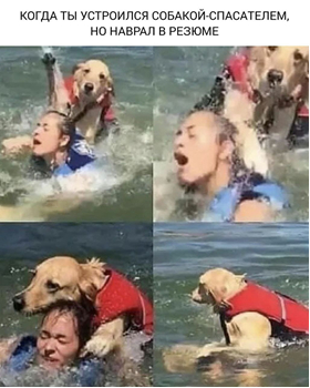 �� �������-�� ���� �����-�� ����