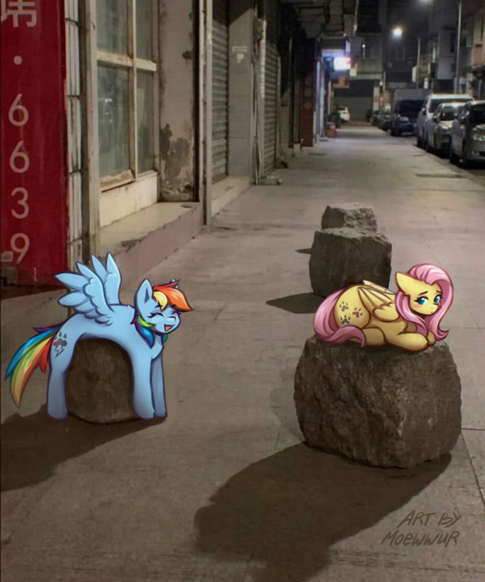 �� ������