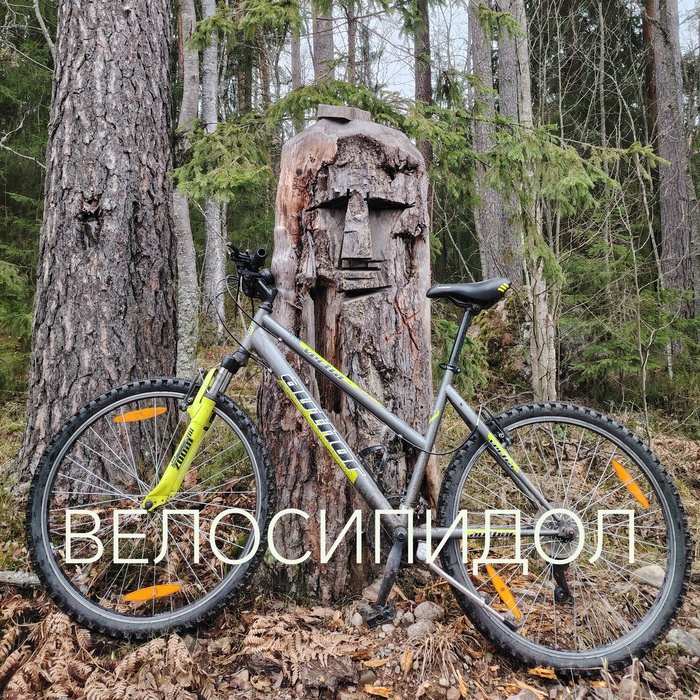 ������ ������