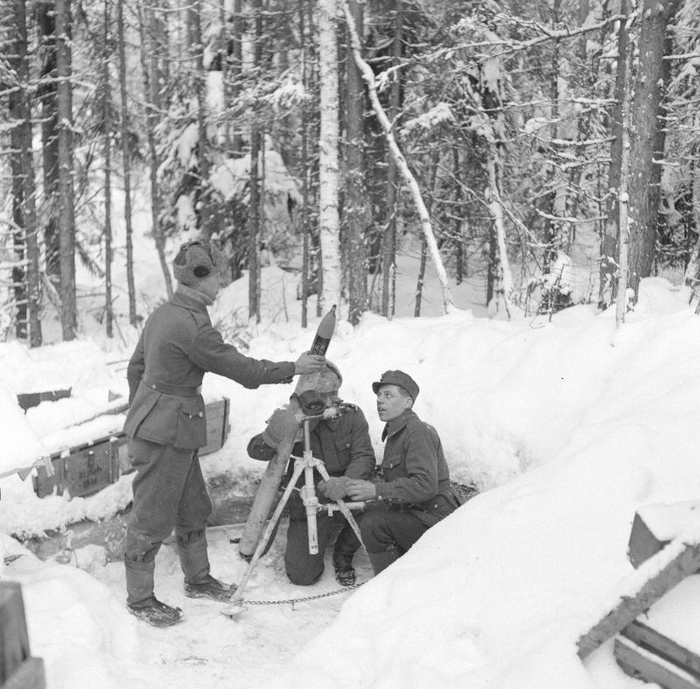 ������� 81-�� ������ �� �������.