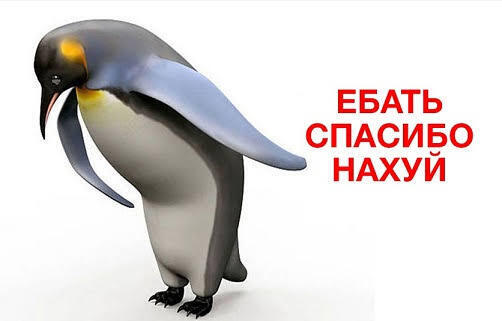 ��, �������, ��� ��