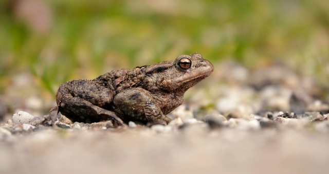 ������ ��������� � ������ �������