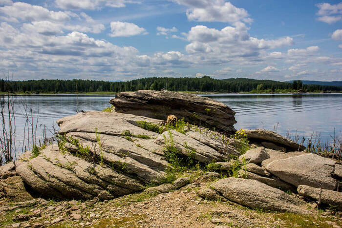 ����������� �������������. ����: ����� �����������