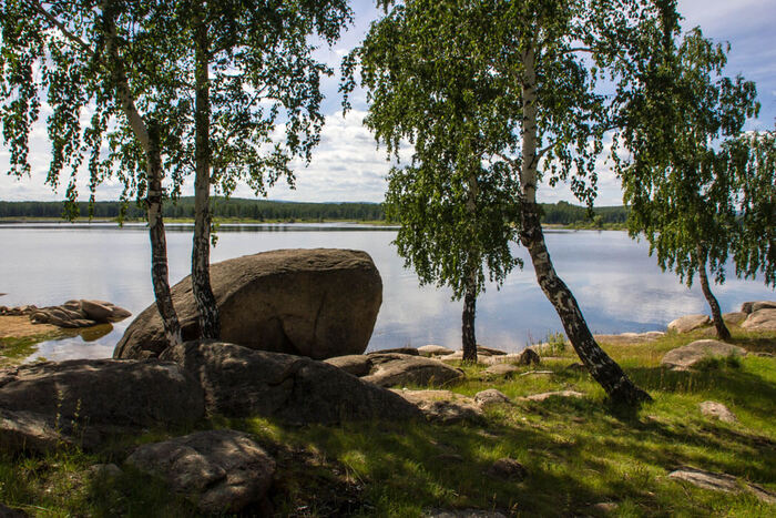 ����������� �������������. ����: ����� �����������