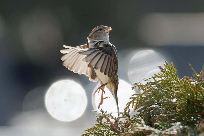 ����: ����� �������� <a href="https://pikabu.ru/story/mne_tantsevat_okhota_13794921?u=https%3A%2F%2Frtraveler.ru%2Fphoto%2F1481905%2F%3Feditorial_photos%3D1&t=%D0%BE%D1%82%D1%81%D1%8E%D0%B4%D0%B0&h=026e813ffe198861795fe5c722a28711a9bf92a3" title="https://rtraveler.ru/photo/1481905/?editorial_photos=1" target="_blank" rel="nofollow noopener">������</a>