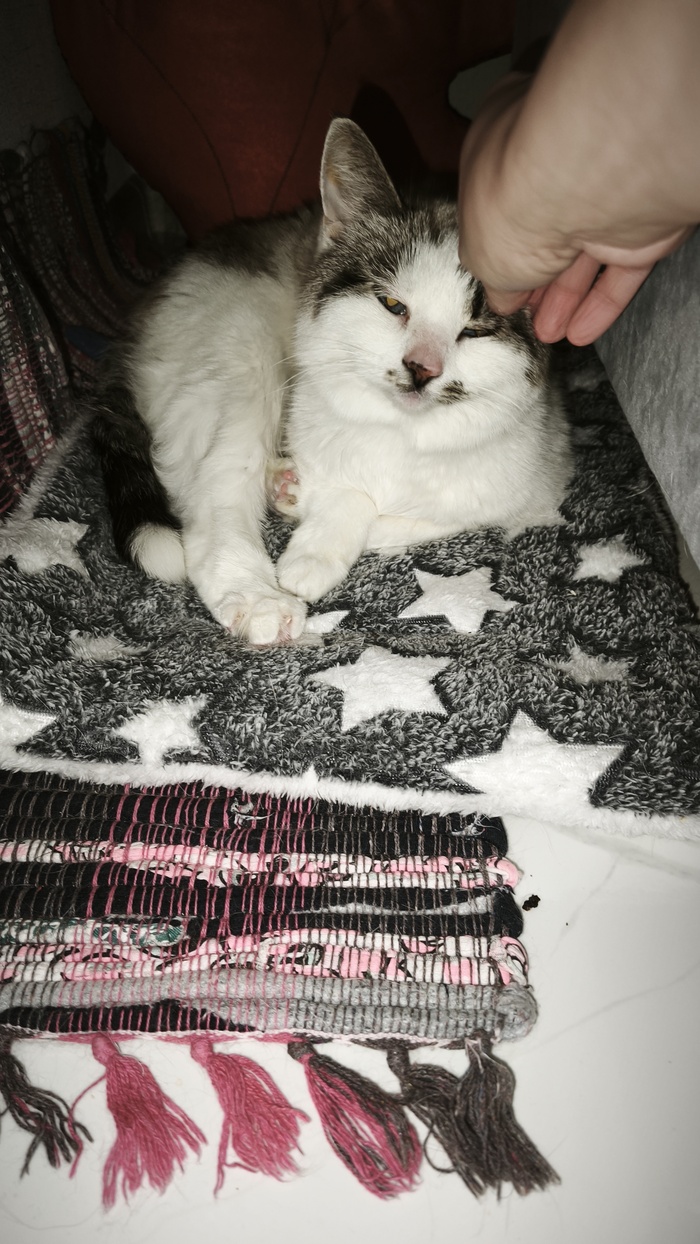 �������