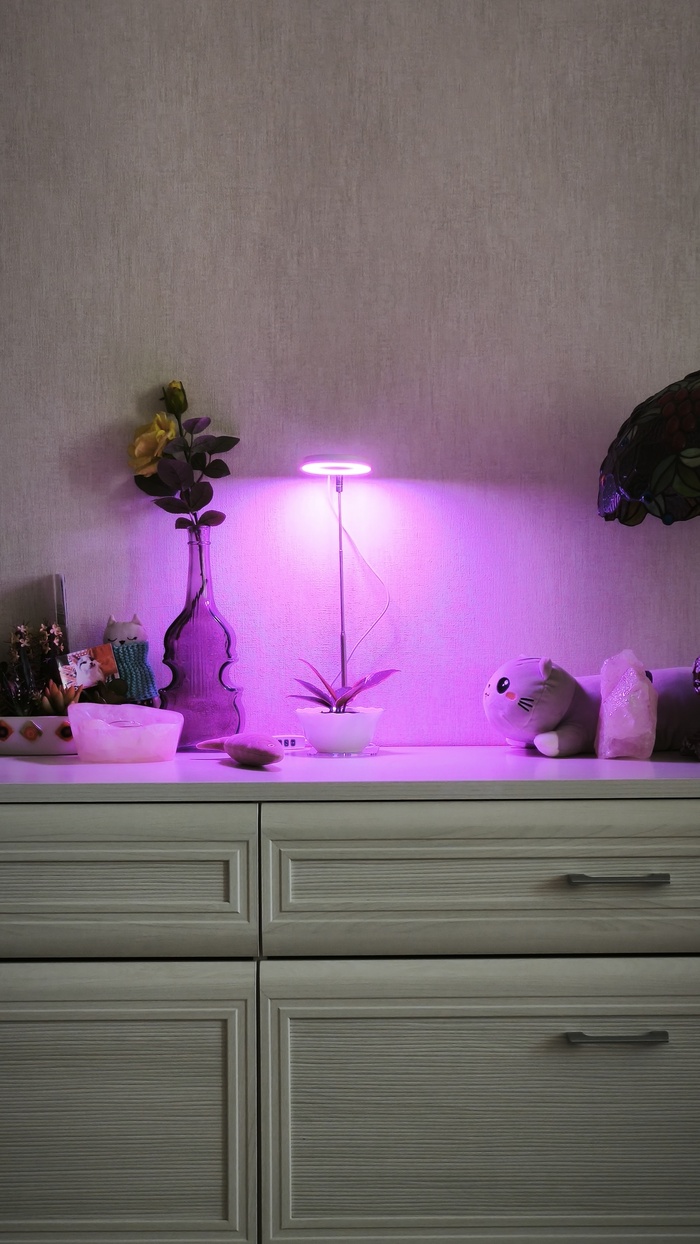 ���� ������� "��������". �� ��� ������ ����� ���������.