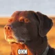 ����� ����� ������ ���� �����������