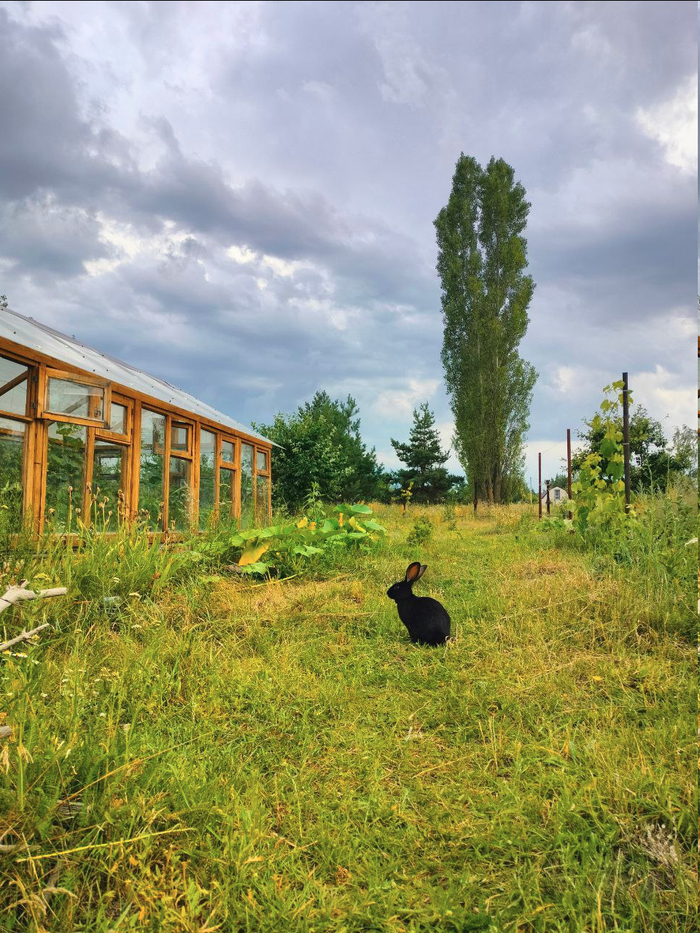 ������ ������ ��� ������� ������������� �� ���� ������ ������