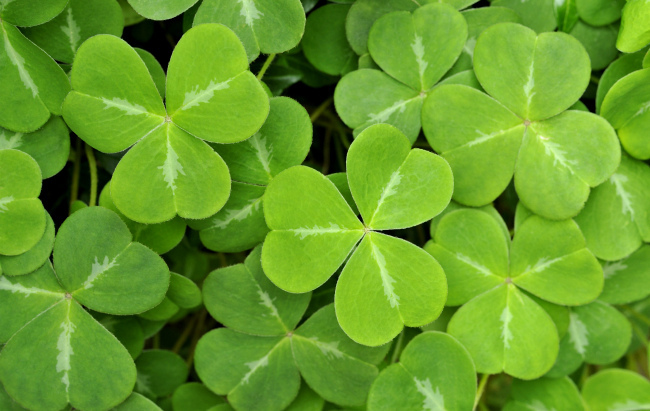 ������ ������� ���������.