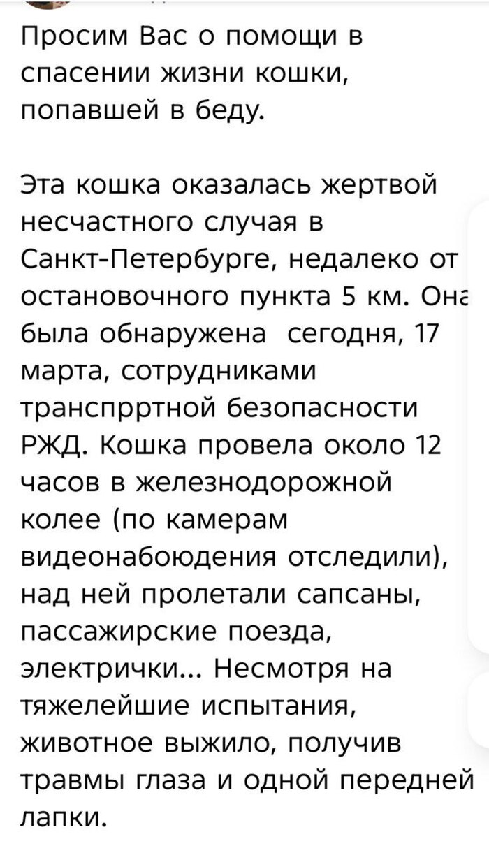 ��������� ��� ������� ����� � �������