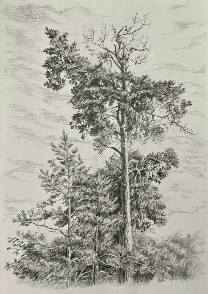 "�����." ������� ���������. ������, ��������.������: 30�21��. 2020�.