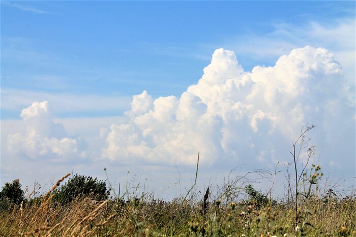 ������ ��� ������� ������ � ����� � ������� ����������� ���������, �������� �����.