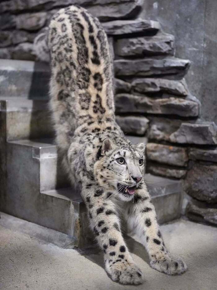 ������ �������� �� �����