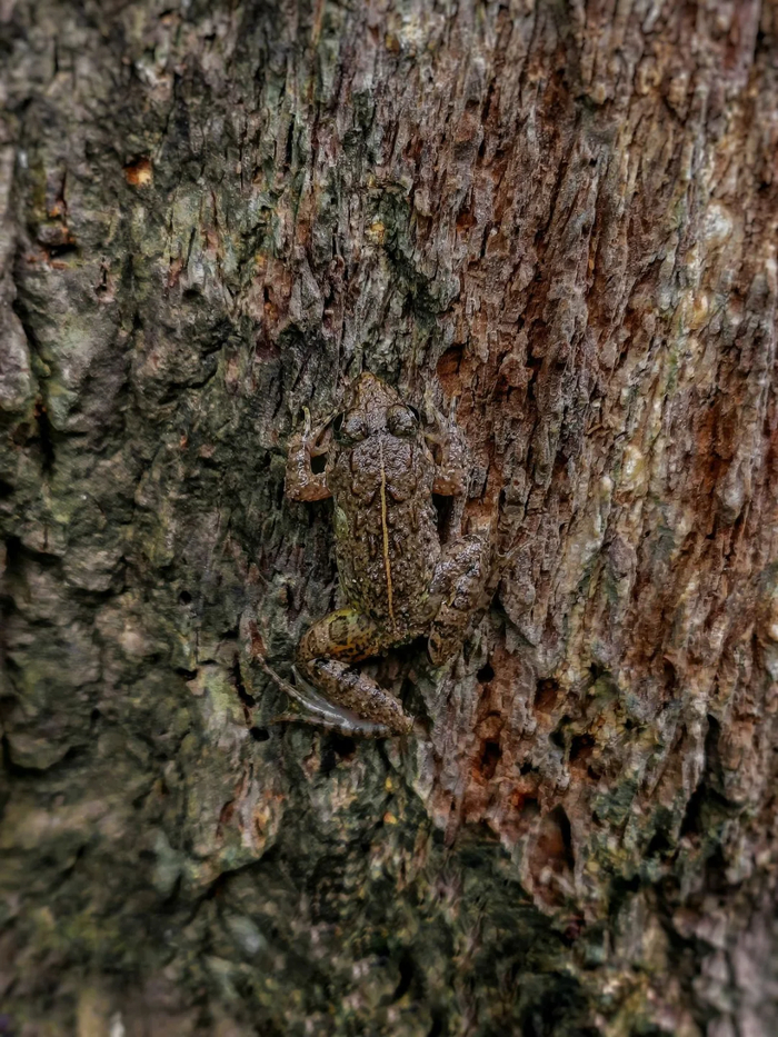 ������ �������? � ��� ����