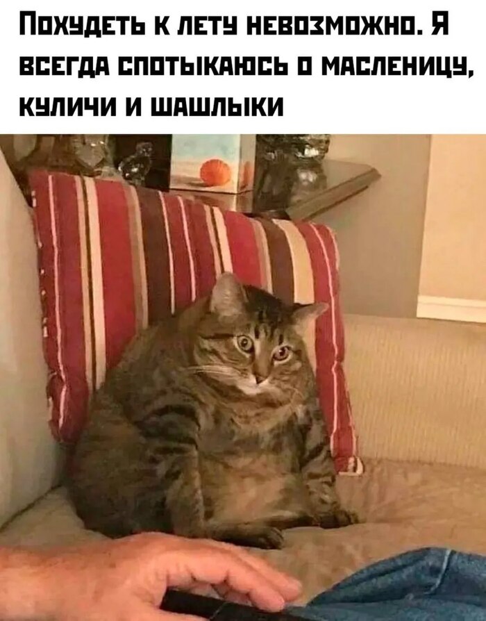 ������ �����������