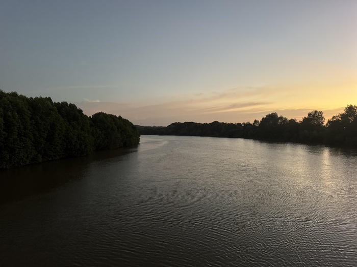 ������� ����