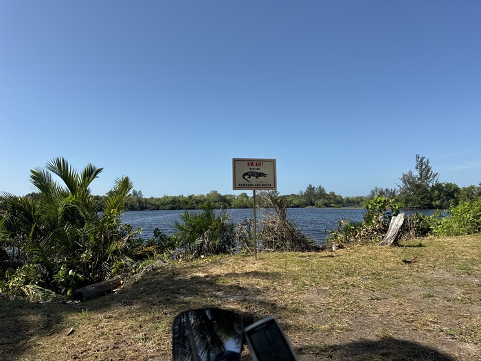 � �����������