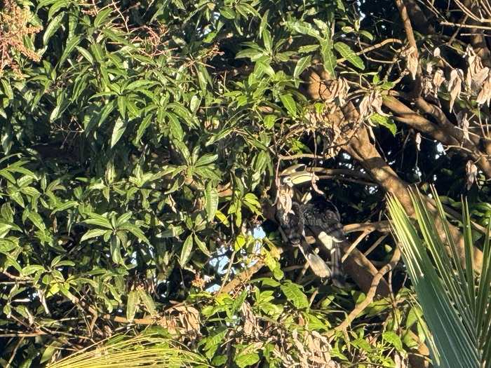 ����� �������� �� ����