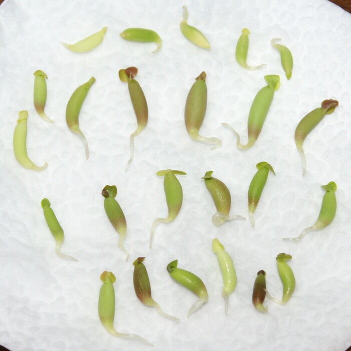 ����� ��������� �� 14.03.26