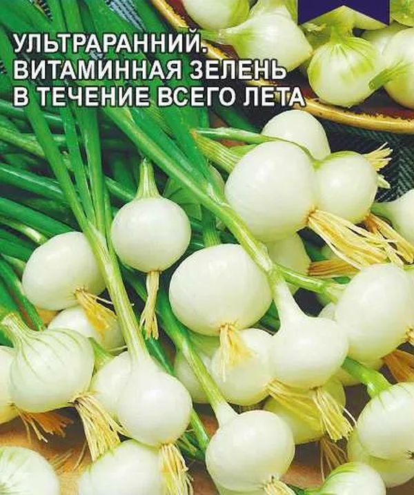 луковки как жемчужины большие - очень вкусный лук, сажается сразу в грядку без рассады
