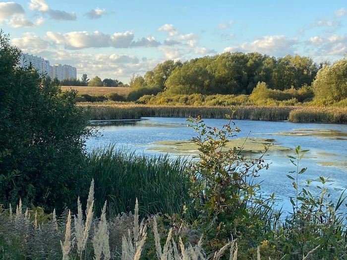 ��� ��� 2024 ���. ����� � �������� ������ � ���������. � ����� ��� ������� ������ � ������ ������ ��������, ������ ������, ������ ����� � ������������ �������.