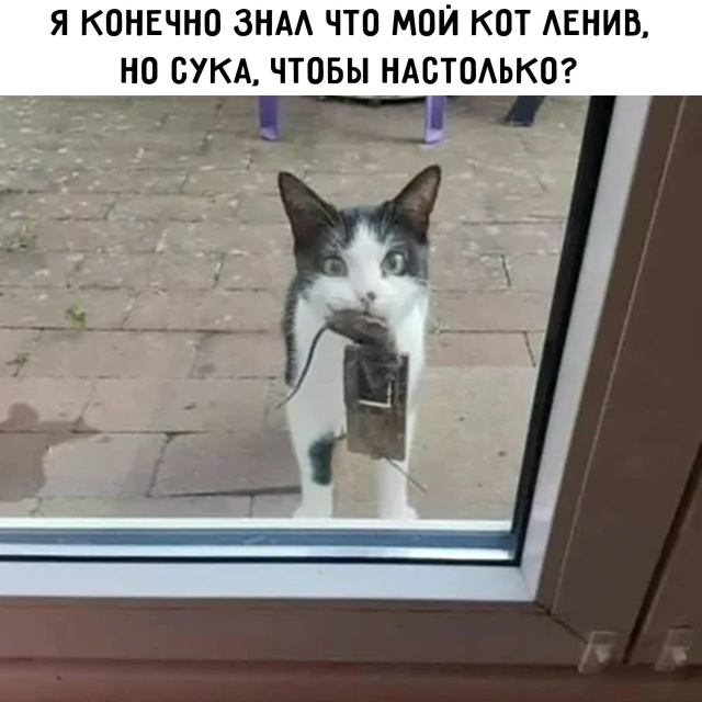 ����� �� ���� ���, ����, �������� �����, �������� ������, ���������� �������...�