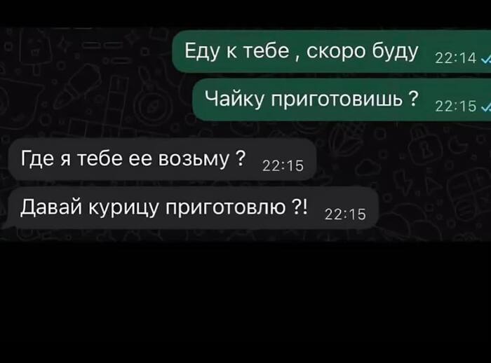 *ор чайки*